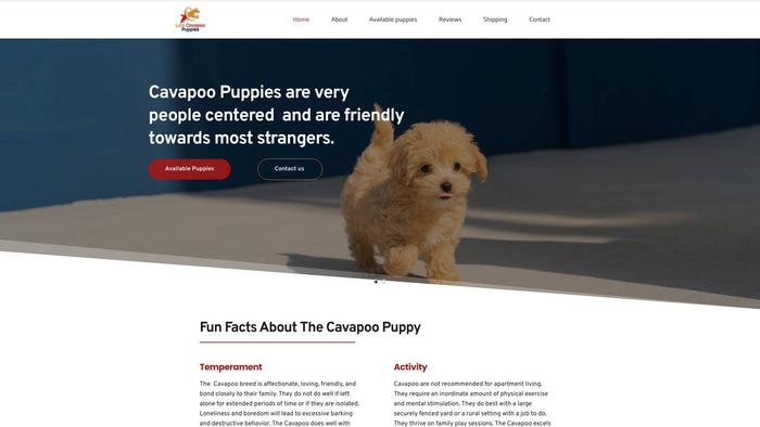 Lolacavapoopuppies.com - Cavapoo Puppy Scam Review