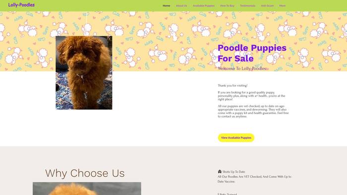 Lolly-poodles.com - Poodle Puppy Scam Review