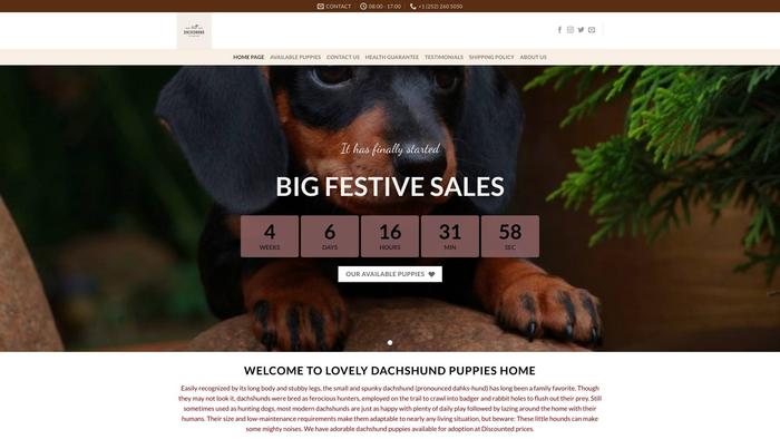 Lovelydachshundpupies.com - Dachshund Puppy Scam Review