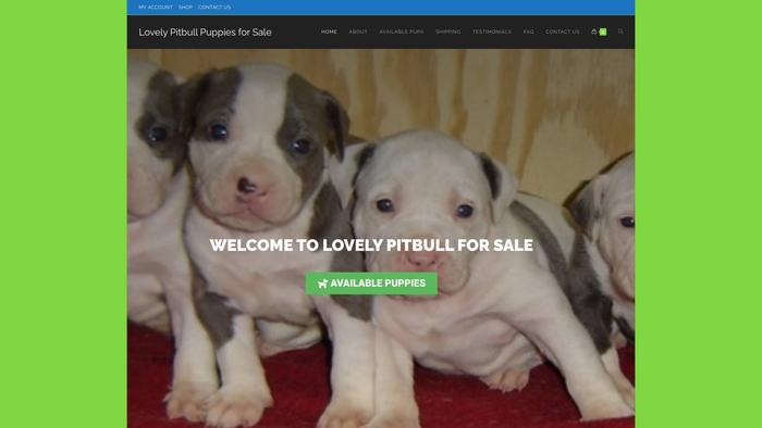 Lovelypitbullpuppiesforsale.com - Pit Bull Puppy Scam Review