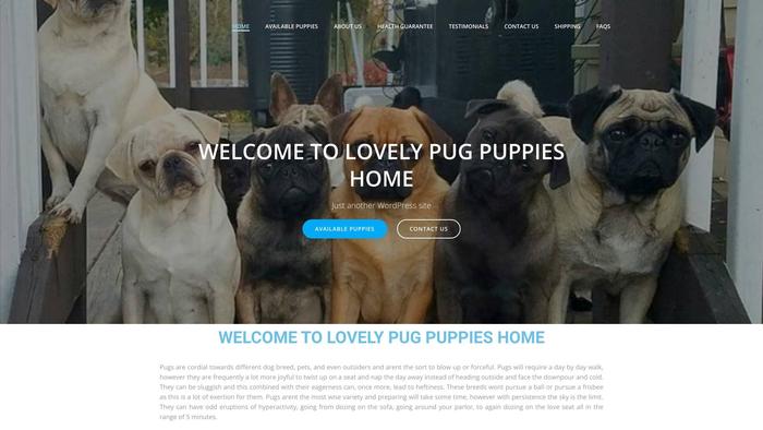 Lovelypugpuppieshome.com - Pug Puppy Scam Review