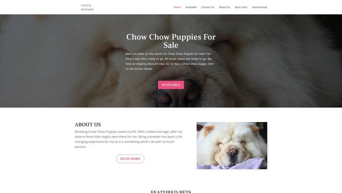 Lovelywelcoming.com - Labrador Puppy Scam Review