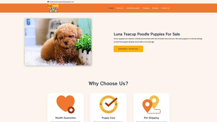 Lunateacuppoodlespuppies.com - Poodle Puppy Scam Review