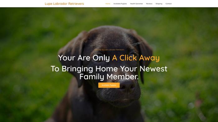 Lupelabradorretrievers.com - Golden Retriever Puppy Scam Review