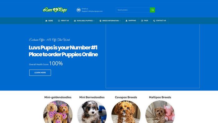 Luvspups.com - Cavapoo Puppy Scam Review