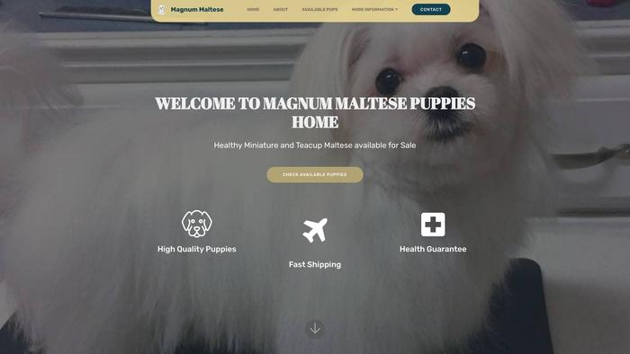 Magnummaltese.com - Maltese Puppy Scam Review