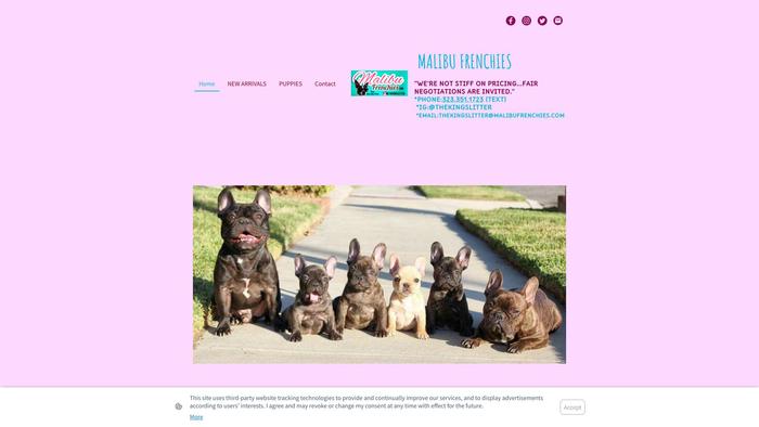 Malibufrenchies.com - French Bulldog Puppy Scam Review