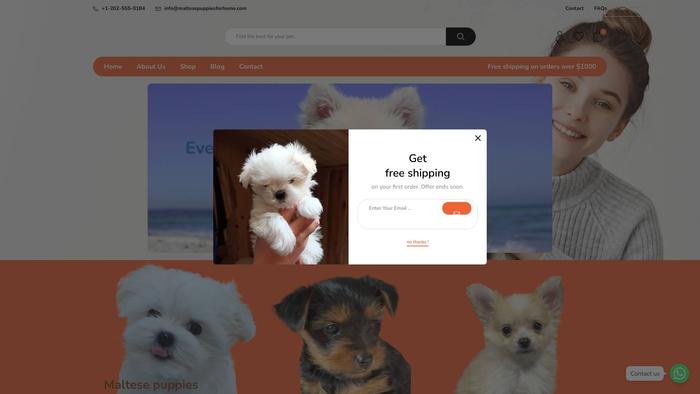 Maltesepuppiesforhome.com - Maltese Puppy Scam Review