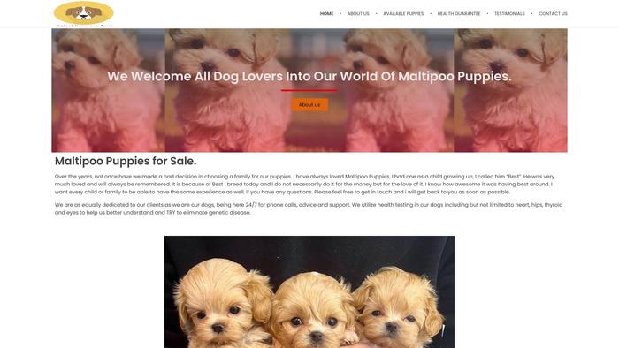 Maltipoofarmhome.com - Havanese Puppy Scam Review