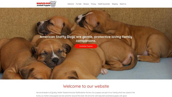 Marvelousamericanstaffordshireterrierpuppies.com - Terrier Puppy Scam Review