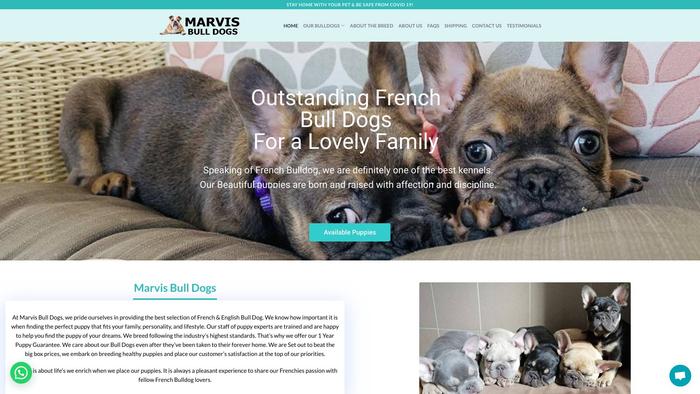 Marvisbulldogs.com - Bulldog Puppy Scam Review