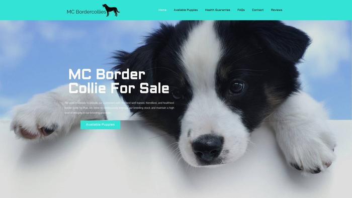 Mcbordercolliesforsale.com - Bordercollie Puppy Scam Review