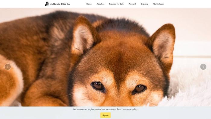 Mckenzieshibainupuppies.com - Shibhainu Puppy Scam Review