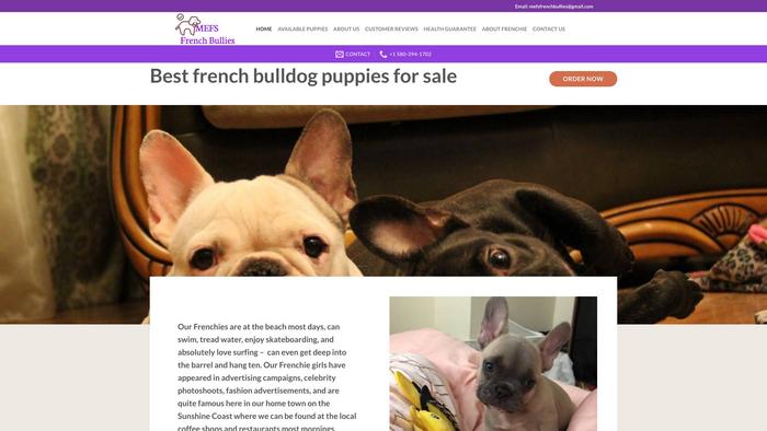 Mefsfrenchbullies.com - French Bulldog Puppy Scam Review