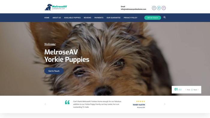 Melroseavyorkieshome.com - Yorkshire Terrier Puppy Scam Review