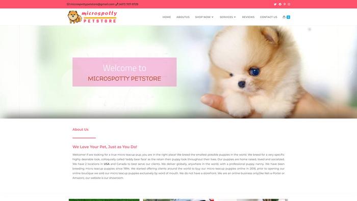 Microspottypetstore.com - French Bulldog Puppy Scam Review