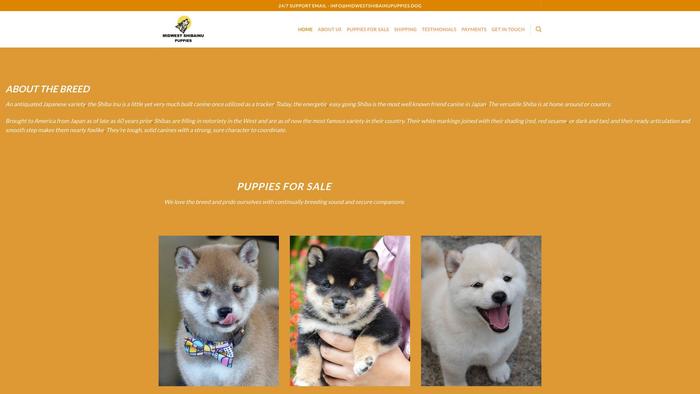 Midwestshibainupuppies.dog - Shibhainu Puppy Scam Review