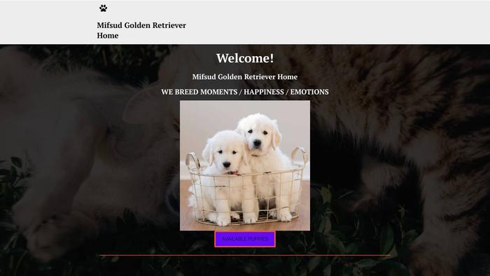 Mifsudgoldenretriever.net - Golden Retriever Puppy Scam Review