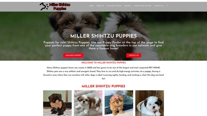 Millershihtzupuppies.com - Shihtzu Puppy Scam Review