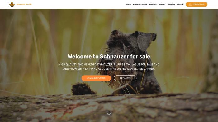 Miniatureschnauzerforsale.com - Schnauzer Puppy Scam Review