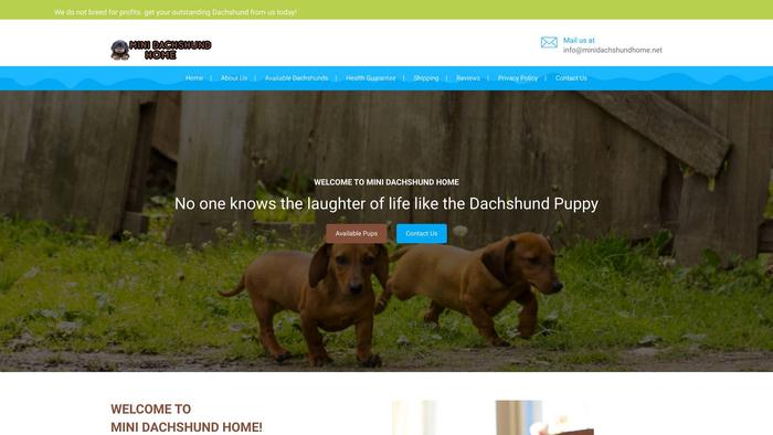 Minidachshundhome.net - Dachshund Puppy Scam Review