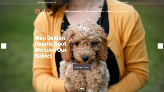 Minigoldendoodlespot.com - Golden Doodle Puppy Scam Review