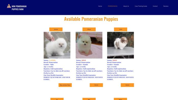 Minipomeranianpuppiesfarm.com - Pomeranian Puppy Scam Review