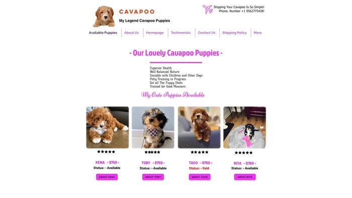 Mylegendcavapoopuppies.com - Cavapoo Puppy Scam Review