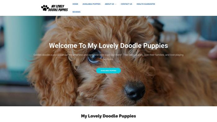 Mylovelydoodlepuppies.com - Labradoodle Puppy Scam Review