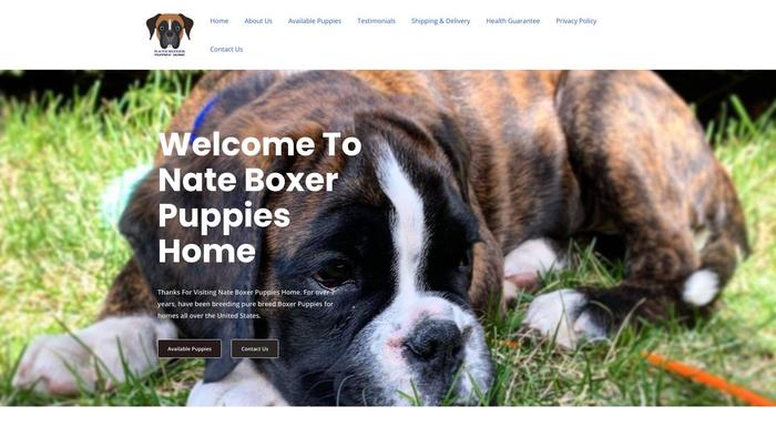 Nateboxerpupshome.com - Boxer Puppy Scam Review