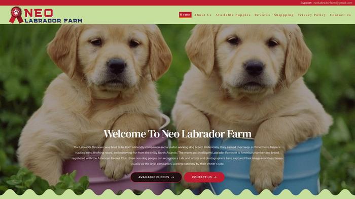 Neolabradorfarm.com - Labrador Puppy Scam Review