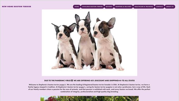 Newhomebostonterrier.us - Terrier Puppy Scam Review