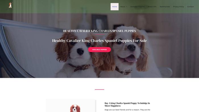 Newkingcharlesbreeds.online - Cavalier King Charles Spaniel Puppy Scam Review