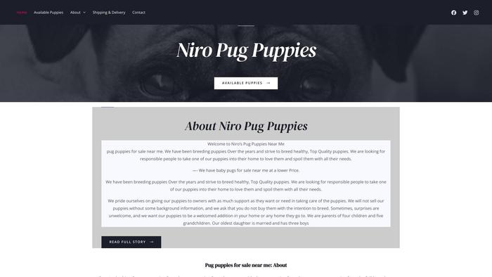 Niropugpuppies.com - Pug Puppy Scam Review