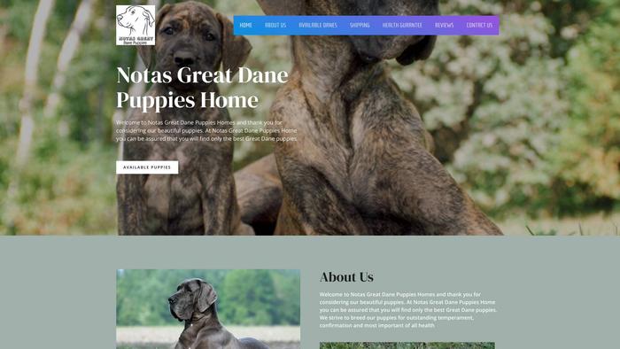 Notasgreatdanepups.com - Great Dane Puppy Scam Review