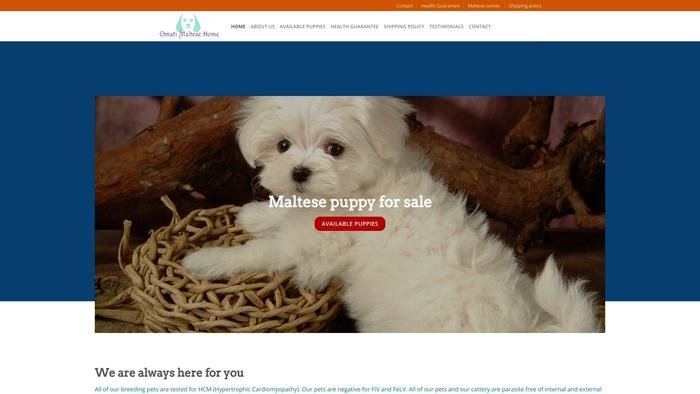 Omatimaltesehome.com - Maltese Puppy Scam Review