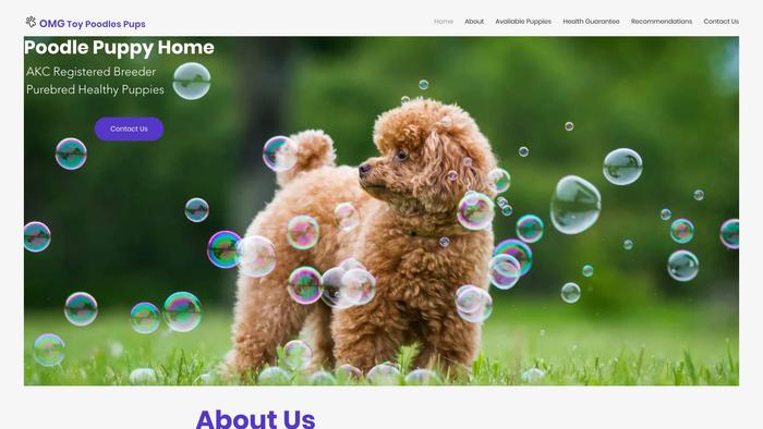 Omgtoypoodlespups.com - Poodle Puppy Scam Review