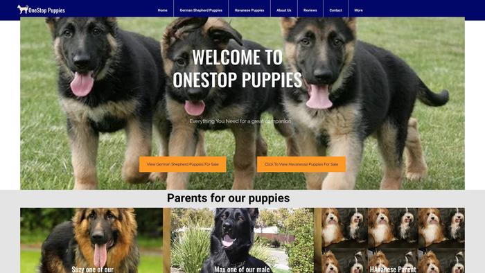 Onestoppuppies.com - Saint Bernard Puppy Scam Review