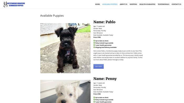 Outstandingminiatureschnauzerpuppies.com - Schnauzer Puppy Scam Review