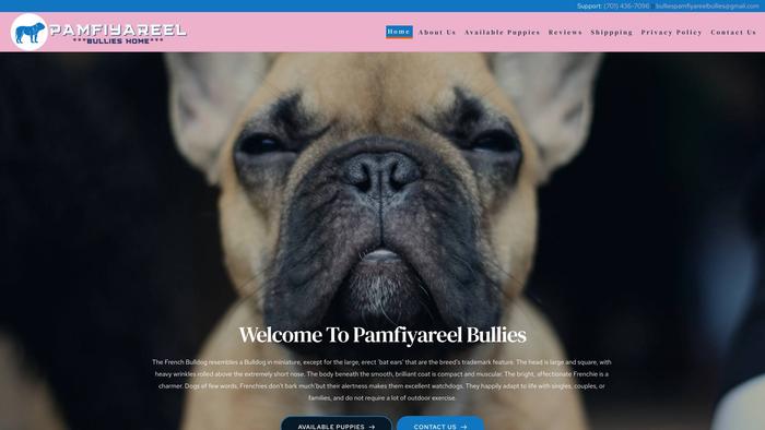 Pamfiyareelbullies.com - French Bulldog Puppy Scam Review