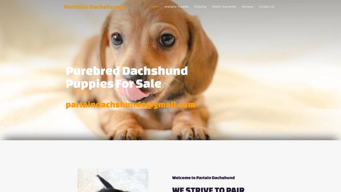 Partaindachshunds.com - Dachshund Puppy Scam Review