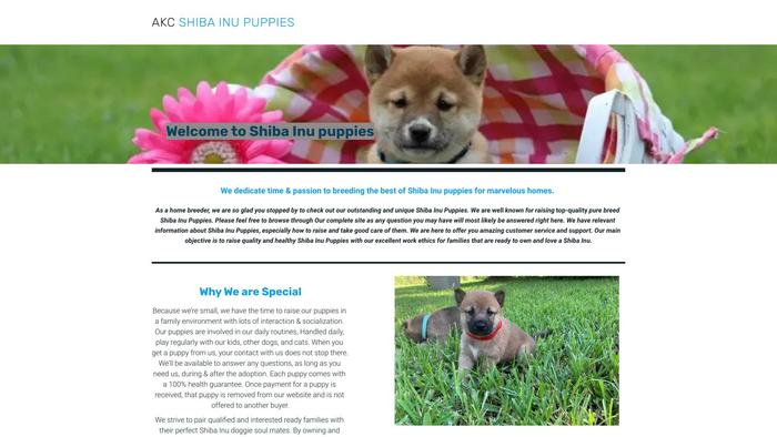 Pbshibainupuppies-akc.net - Shibhainu Puppy Scam Review