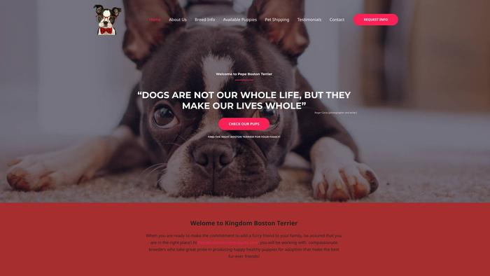 Pepebostonterrierpuppies.com - Terrier Puppy Scam Review