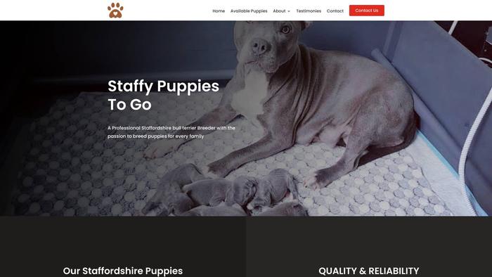 Perfectfamilystaffypuppies.com - Terrier Puppy Scam Review