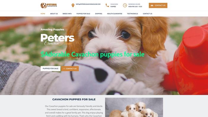 Peterscavachonhouse.com - Cavachon Puppy Scam Review