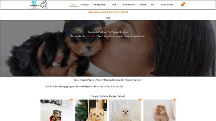 Petshome4u.com - Yorkshire Terrier Puppy Scam Review