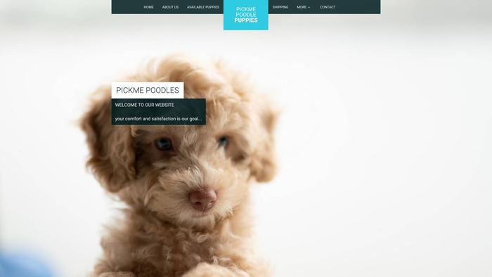 Pickmepoodles.com - Poodle Puppy Scam Review