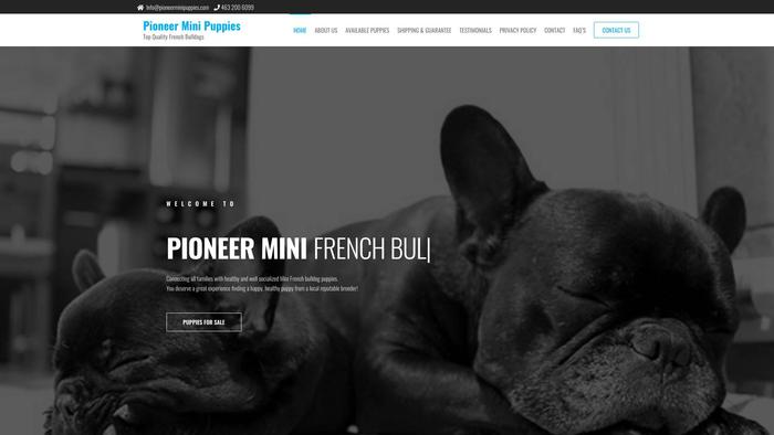 Pioneerminipuppies.com - French Bulldog Puppy Scam Review