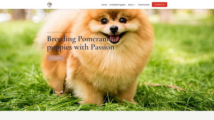 Pomeraniannest.com - Pomeranian Puppy Scam Review