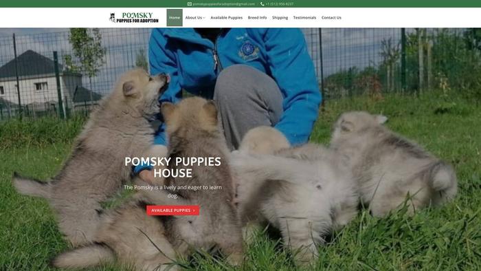 Pomskypuppiesforadoption.com - Pomeranian Puppy Scam Review